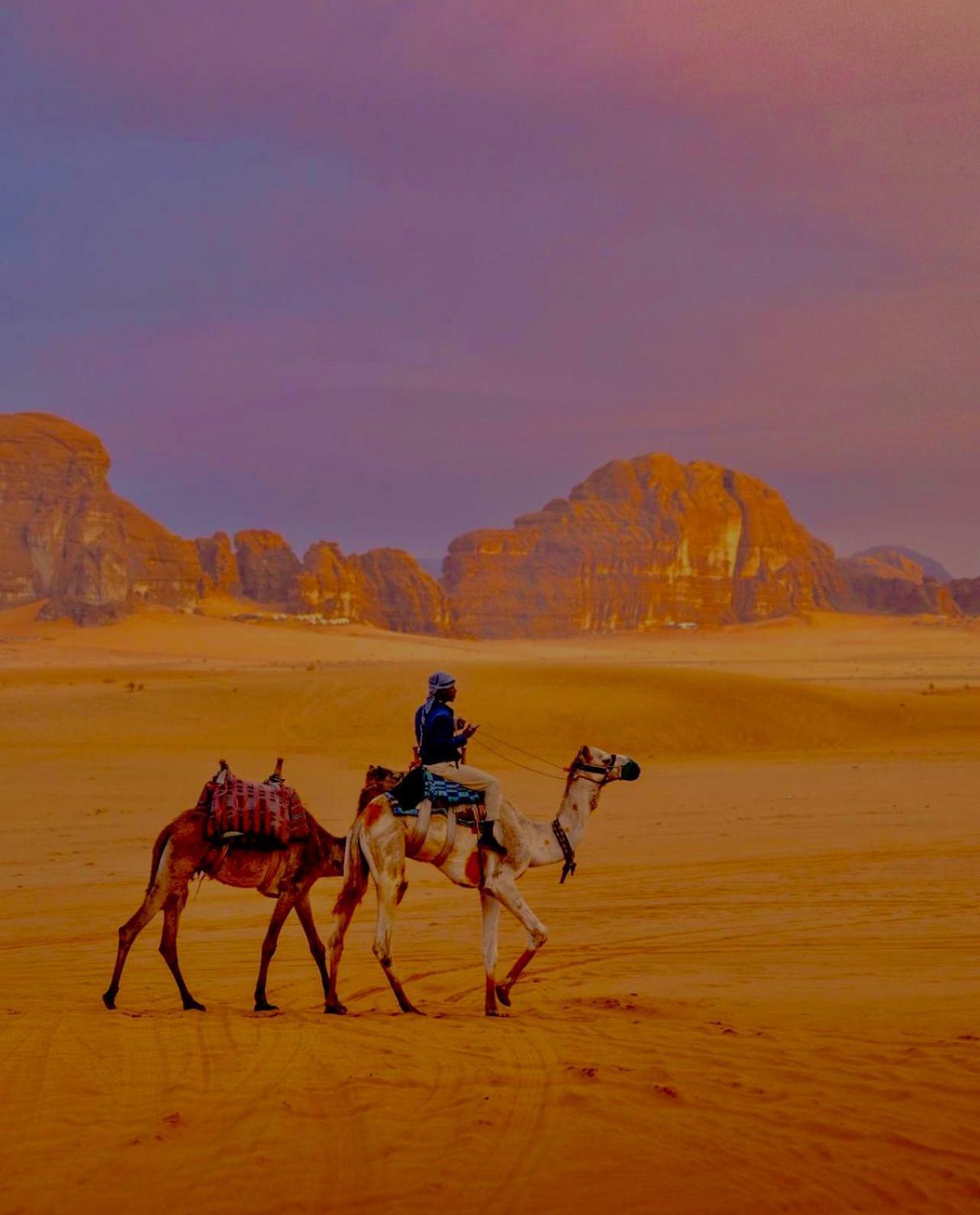 Hidden Wadi Rum Camp Bagian luar foto