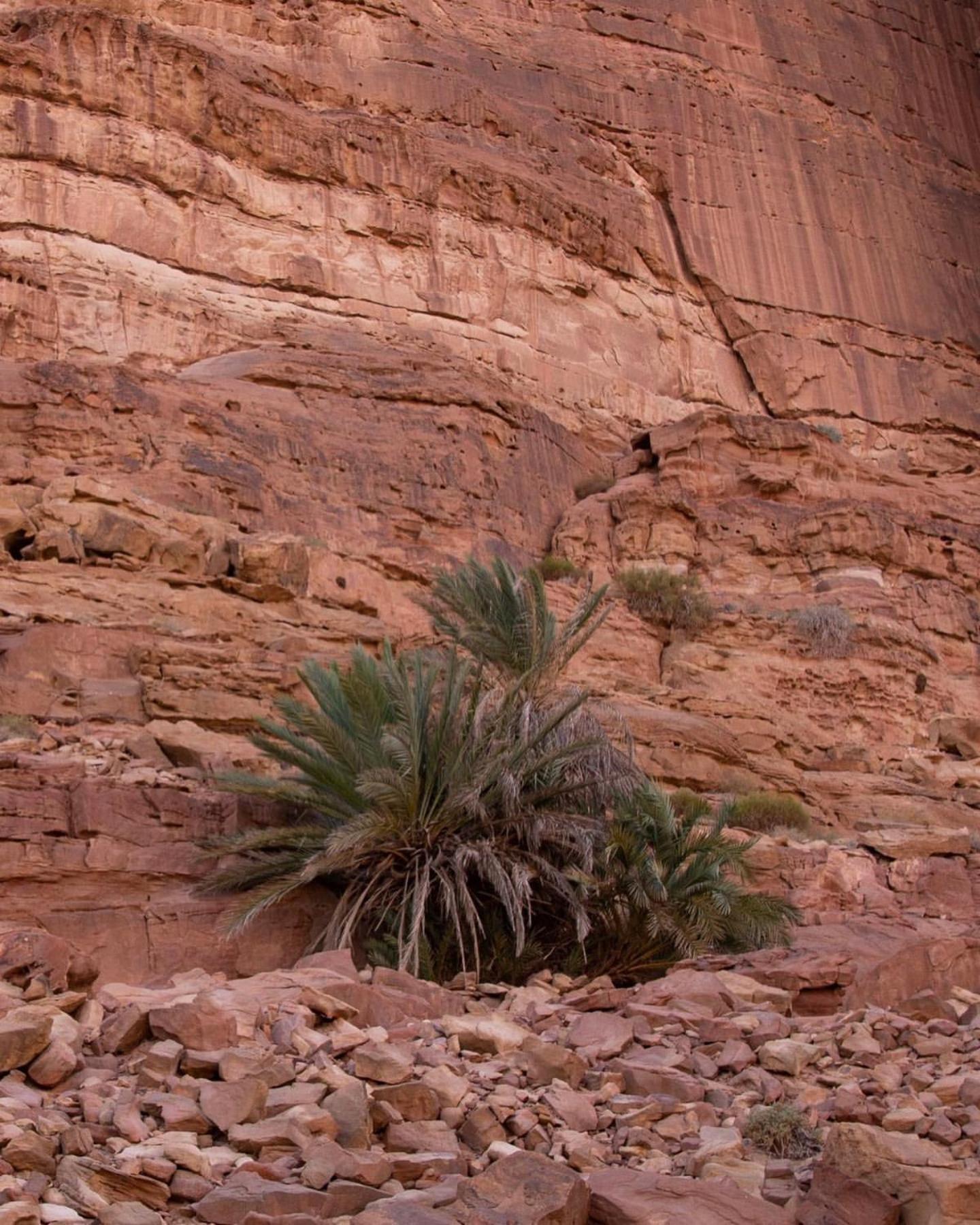 Hidden Wadi Rum Camp Bagian luar foto